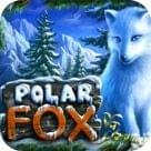 polar-fox / полярная лиса